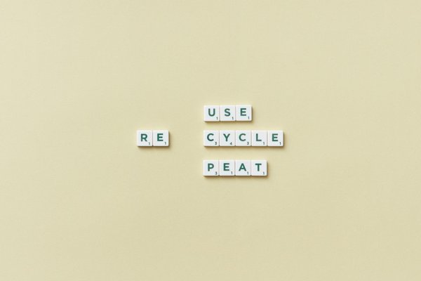 Photo écologie : optimiser votre impact avec des solutions durables